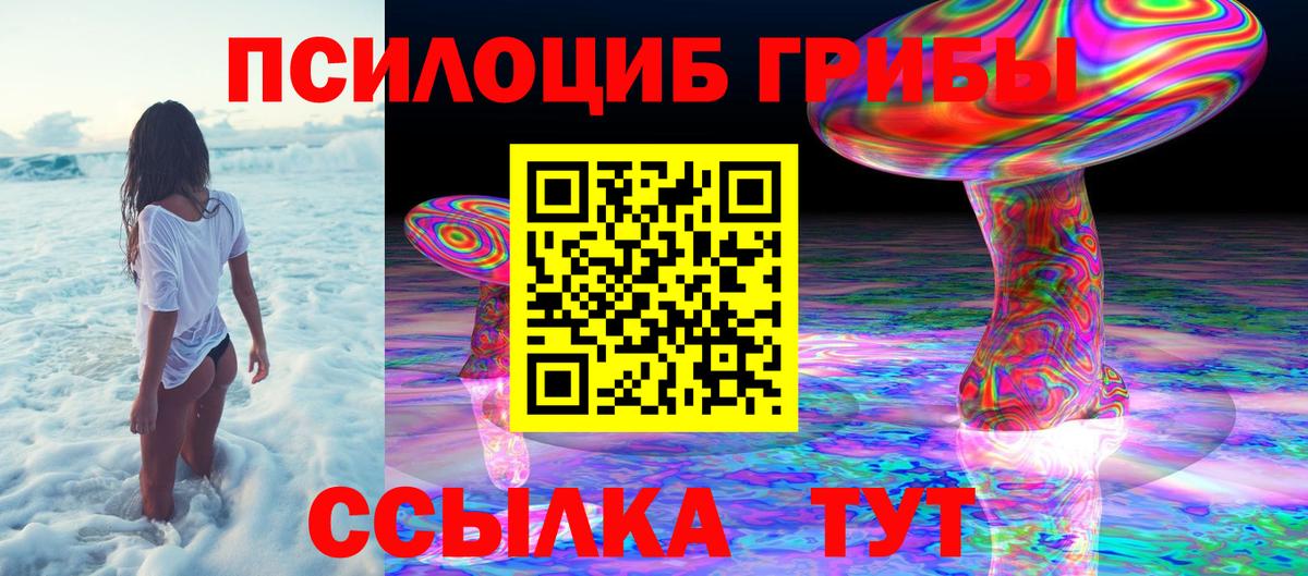 Кушва  Галлюциногенные грибы Psilocybe  Галлюциногенные грибы мухоморы  Вход с VPN 